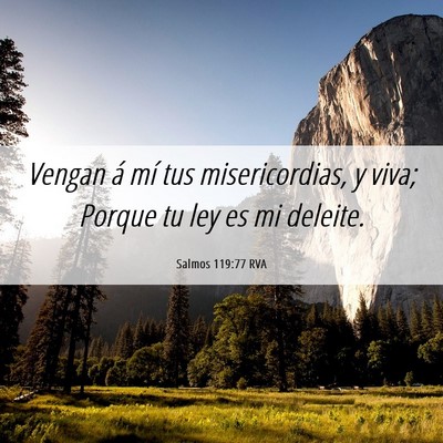 Picture 06 - Salmos 119:77 RVA - Vengan á mí tus misericordias, y viva; Porque - Bible Verse Picture