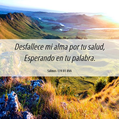 Picture 06 - Salmos 119:81 RVA - Desfallece mi alma por tu salud, Esperando en tu - Bible Verse Picture