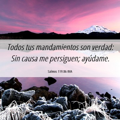Picture 06 - Salmos 119:86 RVA - Todos tus mandamientos son verdad: Sin causa me - Bible Verse Picture