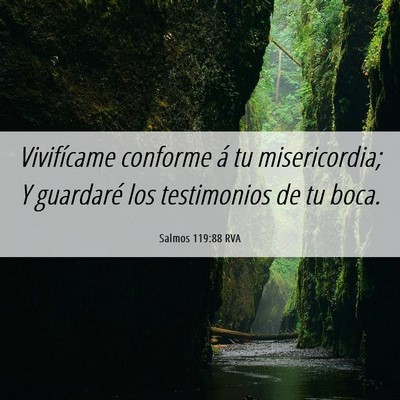 Picture 06 - Salmos 119:88 RVA - Vivifícame conforme á tu misericordia; Y - Bible Verse Picture