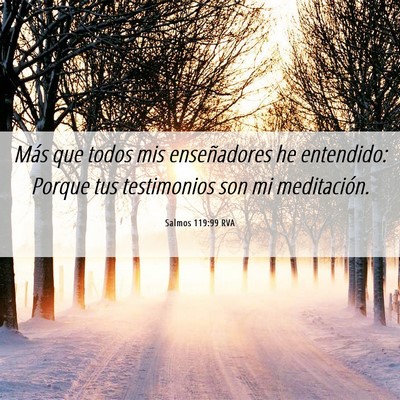 Picture 06 - Salmos 119:99 RVA - Más que todos mis enseñadores he entendido: - Bible Verse Picture