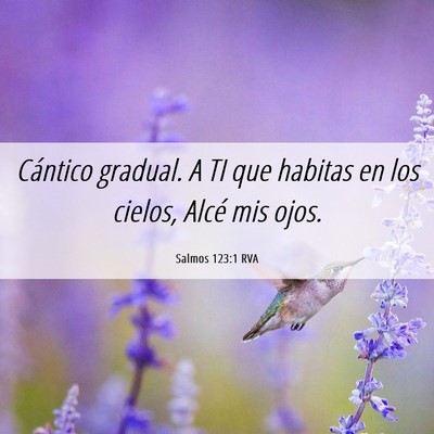 Picture 06 - Salmos 123:1 RVA - Cántico gradual. A TI que habitas en los cielos, - Bible Verse Picture