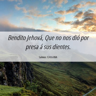 Picture 06 - Salmos 124:6 RVA - Bendito Jehová, Que no nos dió por presa á sus - Bible Verse Picture
