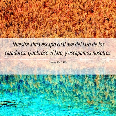 Picture 06 - Salmos 124:7 RVA - Nuestra alma escapó cual ave del lazo de los - Bible Verse Picture