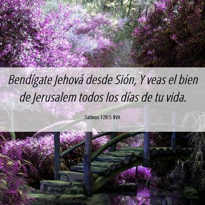 Picture 06 - Salmos 128:5 RVA - Bendígate Jehová desde Sión, Y veas el bien de - Bible Verse Picture