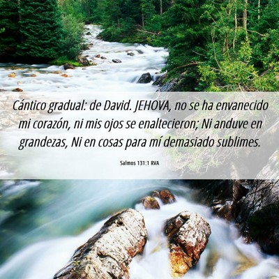 Picture 06 - Salmos 131:1 RVA - Cántico gradual: de David. JEHOVA, no se ha - Bible Verse Picture