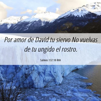 Picture 06 - Salmos 132:10 RVA - Por amor de David tu siervo No vuelvas de tu - Bible Verse Picture