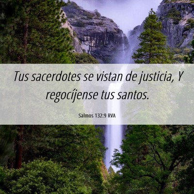 Picture 06 - Salmos 132:9 RVA - Tus sacerdotes se vistan de justicia, Y - Bible Verse Picture