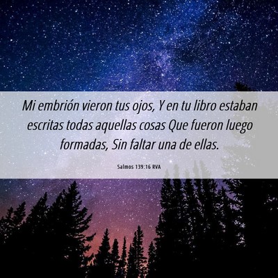 Picture 06 - Salmos 139:16 RVA - Mi embrión vieron tus ojos, Y en tu libro - Bible Verse Picture