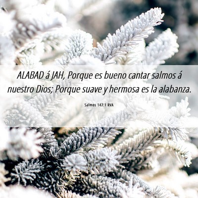 Picture 06 - Salmos 147:1 RVA - ALABAD á JAH, Porque es bueno cantar salmos á - Bible Verse Picture