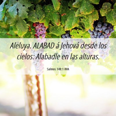Picture 06 - Salmos 148:1 RVA - Aleluya. ALABAD á Jehová desde los cielos: - Bible Verse Picture