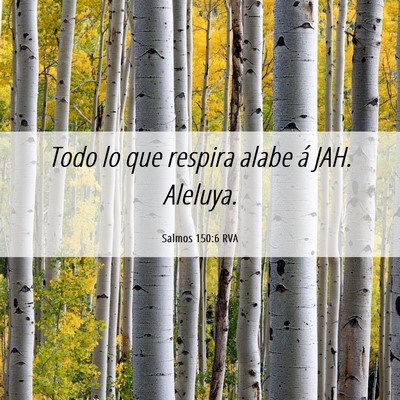 Picture 06 - Salmos 150:6 RVA - Todo lo que respira alabe á JAH. - Bible Verse Picture