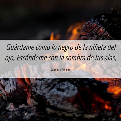 Picture 06 - Salmos 17:8 RVA - Guárdame como lo negro de la niñeta del ojo, - Bible Verse Picture