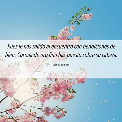 Picture 06 - Salmos 21:3 RVA - Pues le has salido al encuentro con bendiciones - Bible Verse Picture