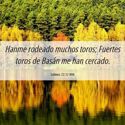 Picture 06 - Salmos 22:12 RVA - Hanme rodeado muchos toros; Fuertes toros de - Bible Verse Picture