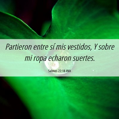 Picture 06 - Salmos 22:18 RVA - Partieron entre sí mis vestidos, Y sobre mi ropa - Bible Verse Picture