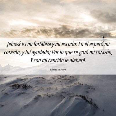 Picture 06 - Salmos 28:7 RVA - Jehová es mi fortaleza y mi escudo: En él - Bible Verse Picture