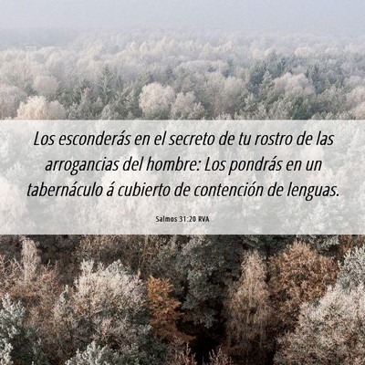 Picture 06 - Salmos 31:20 RVA - Los esconderás en el secreto de tu rostro de las - Bible Verse Picture