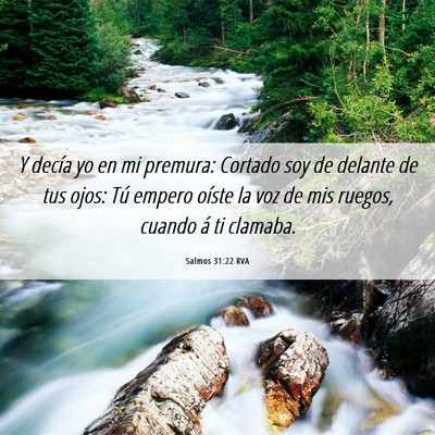 Picture 06 - Salmos 31:22 RVA - Y decía yo en mi premura: Cortado soy de delante - Bible Verse Picture