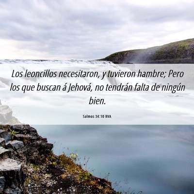 Picture 06 - Salmos 34:10 RVA - Los leoncillos necesitaron, y tuvieron hambre; - Bible Verse Picture