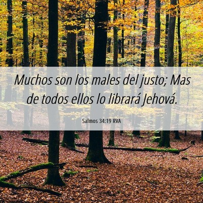 Picture 06 - Salmos 34:19 RVA - Muchos son los males del justo; Mas de todos - Bible Verse Picture