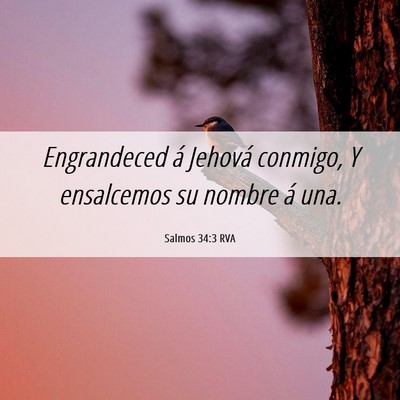 Picture 06 - Salmos 34:3 RVA - Engrandeced á Jehová conmigo, Y ensalcemos su - Bible Verse Picture