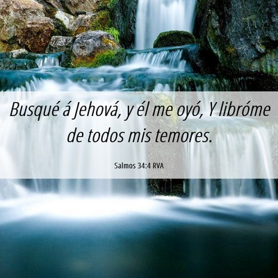 Picture 06 - Salmos 34:4 RVA - Busqué á Jehová, y él me oyó, Y libróme de - Bible Verse Picture