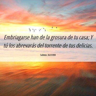 Picture 06 - Salmos 36:8 RVA - Embriagarse han de la grosura de tu casa; Y tú - Bible Verse Picture