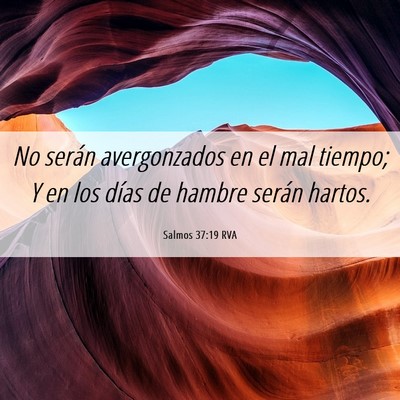 Picture 06 - Salmos 37:19 RVA - No serán avergonzados en el mal tiempo; Y en los - Bible Verse Picture