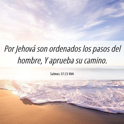 Picture 06 - Salmos 37:23 RVA - Por Jehová son ordenados los pasos del hombre, Y - Bible Verse Picture