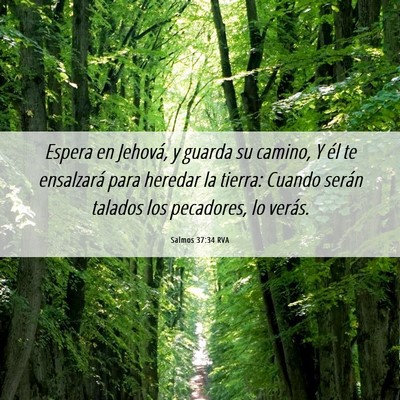 Picture 06 - Salmos 37:34 RVA - Espera en Jehová, y guarda su camino, Y él te - Bible Verse Picture