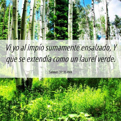 Picture 06 - Salmos 37:35 RVA - Vi yo al impío sumamente ensalzado, Y que se - Bible Verse Picture