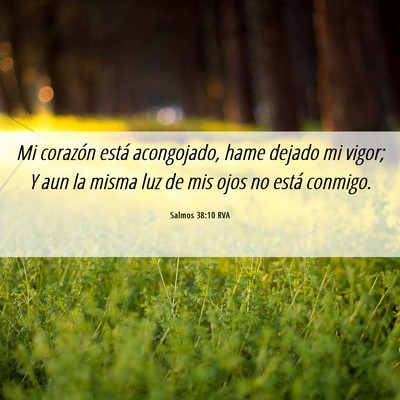 Picture 06 - Salmos 38:10 RVA - Mi corazón está acongojado, hame dejado mi - Bible Verse Picture