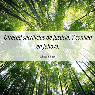 Picture 06 - Salmos 4:5 RVA - Ofreced sacrificios de justicia, Y confiad en - Bible Verse Picture