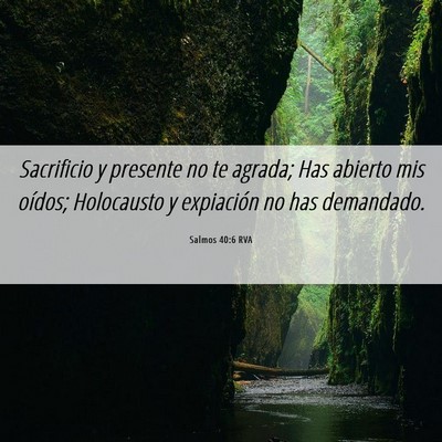Picture 06 - Salmos 40:6 RVA - Sacrificio y presente no te agrada; Has abierto - Bible Verse Picture