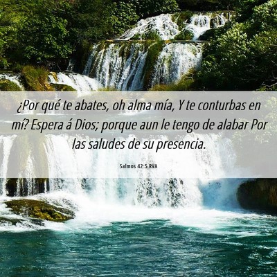 Picture 06 - Salmos 42:5 RVA - ¿Por qué te abates, oh alma mía, Y te - Bible Verse Picture