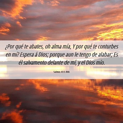 Picture 06 - Salmos 43:5 RVA - ¿Por qué te abates, oh alma mía, Y por qué te - Bible Verse Picture
