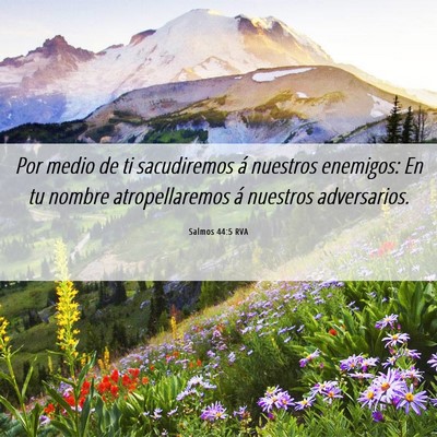 Picture 06 - Salmos 44:5 RVA - Por medio de ti sacudiremos á nuestros enemigos: - Bible Verse Picture