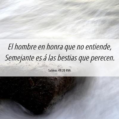 Picture 06 - Salmos 49:20 RVA - El hombre en honra que no entiende, Semejante es - Bible Verse Picture