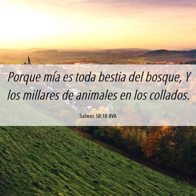 Picture 06 - Salmos 50:10 RVA - Porque mía es toda bestia del bosque, Y los - Bible Verse Picture