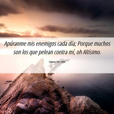 Picture 06 - Salmos 56:2 RVA - Apúranme mis enemigos cada día; Porque muchos - Bible Verse Picture