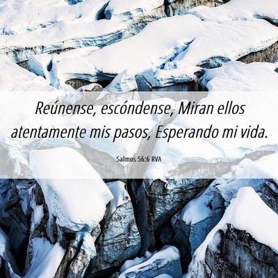 Picture 06 - Salmos 56:6 RVA - Reúnense, escóndense, Miran ellos atentamente - Bible Verse Picture