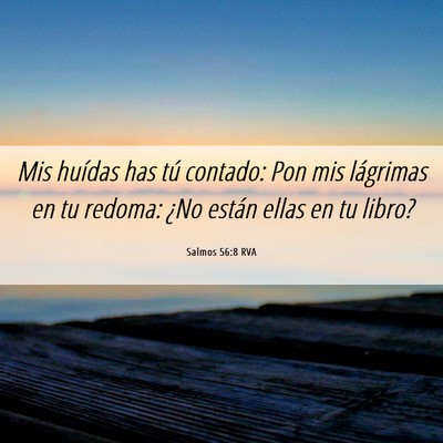Picture 06 - Salmos 56:8 RVA - Mis huídas has tú contado: Pon mis lágrimas en - Bible Verse Picture