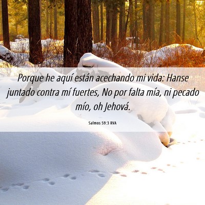 Picture 06 - Salmos 59:3 RVA - Porque he aquí están acechando mi vida: Hanse - Bible Verse Picture