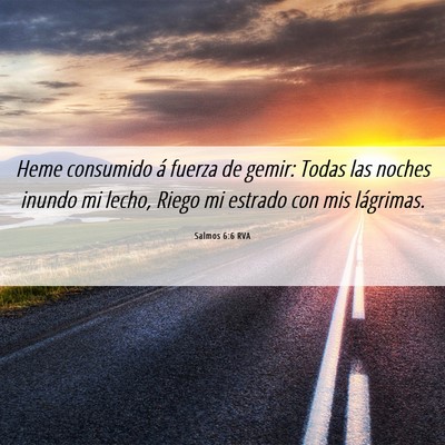 Picture 06 - Salmos 6:6 RVA - Heme consumido á fuerza de gemir: Todas las - Bible Verse Picture