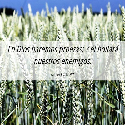 Picture 06 - Salmos 60:12 RVA - En Dios haremos proezas; Y él hollará nuestros - Bible Verse Picture