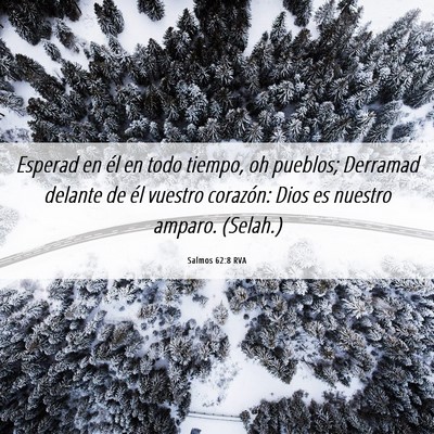 Picture 06 - Salmos 62:8 RVA - Esperad en él en todo tiempo, oh pueblos; - Bible Verse Picture