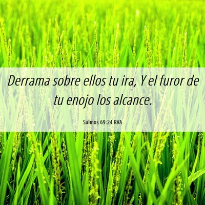 Picture 06 - Salmos 69:24 RVA - Derrama sobre ellos tu ira, Y el furor de tu - Bible Verse Picture