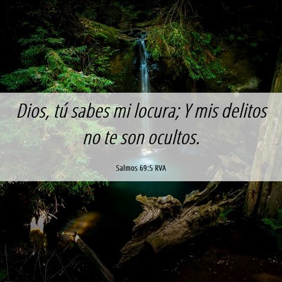 Picture 06 - Salmos 69:5 RVA - Dios, tú sabes mi locura; Y mis delitos no te - Bible Verse Picture