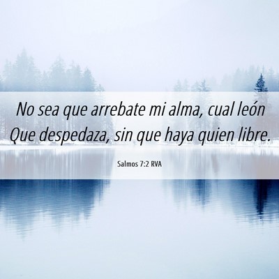 Picture 06 - Salmos 7:2 RVA - No sea que arrebate mi alma, cual león Que - Bible Verse Picture